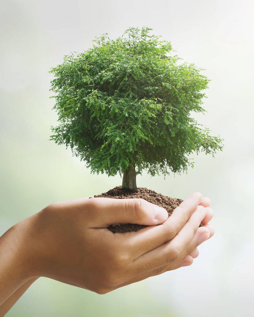 Growing relationships